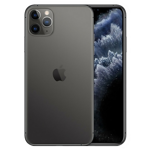 [M0010010866] iPhone 11 Pro Max SS 256GB Space Gray A Grade 100% Battery Health( Refurbished ) - Face ID not work